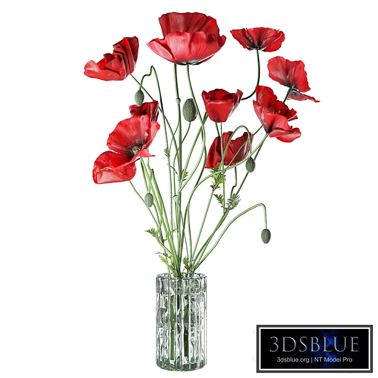 Field Poppies in a Vase