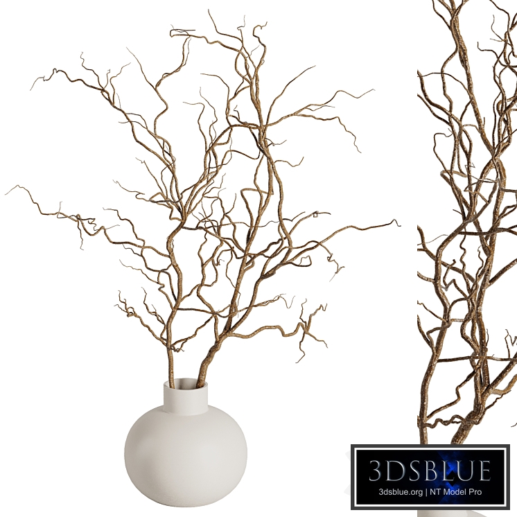 Dry branches vase Set42