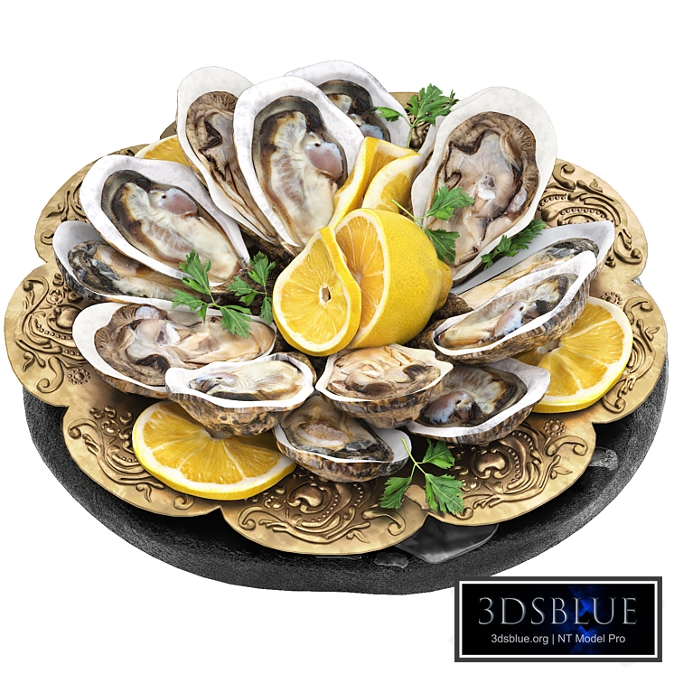 plate of seafood oysters