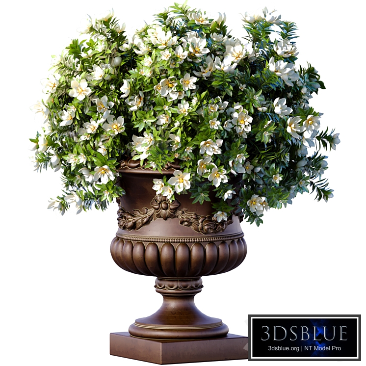 Magnolia flowers Bouquet in a classic vase pot flowerpot for decoration.Indoor, interior Plant