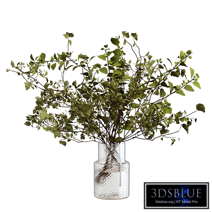 Bouquet of branches with foliage
