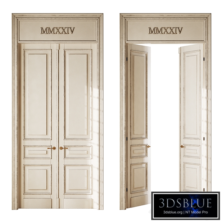 Old classic door 008