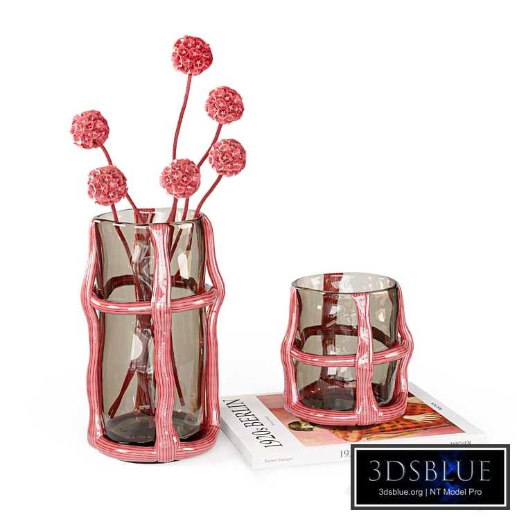 Decorative set of vases Smokes by Corner design with dried red scabiosa flowers