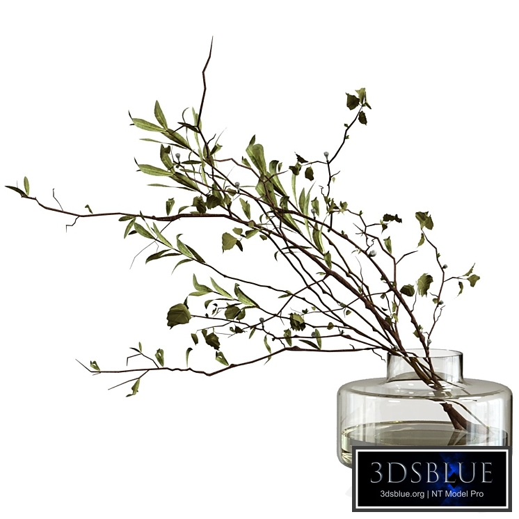 Bouquet of olive branches and wood