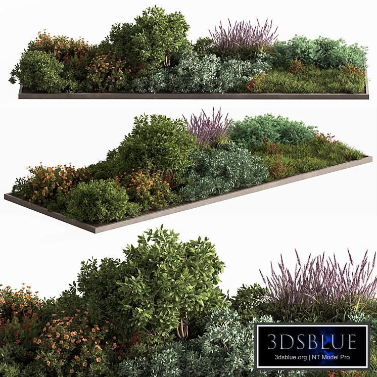 Garden Plants - Outdoor Flowers 637