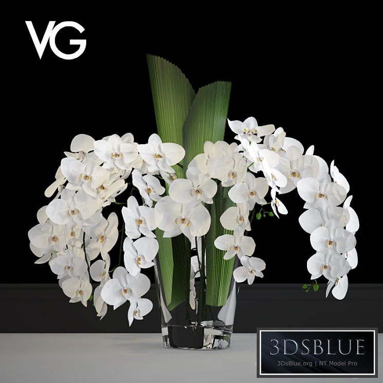 Decorative arrangement of orchids VG