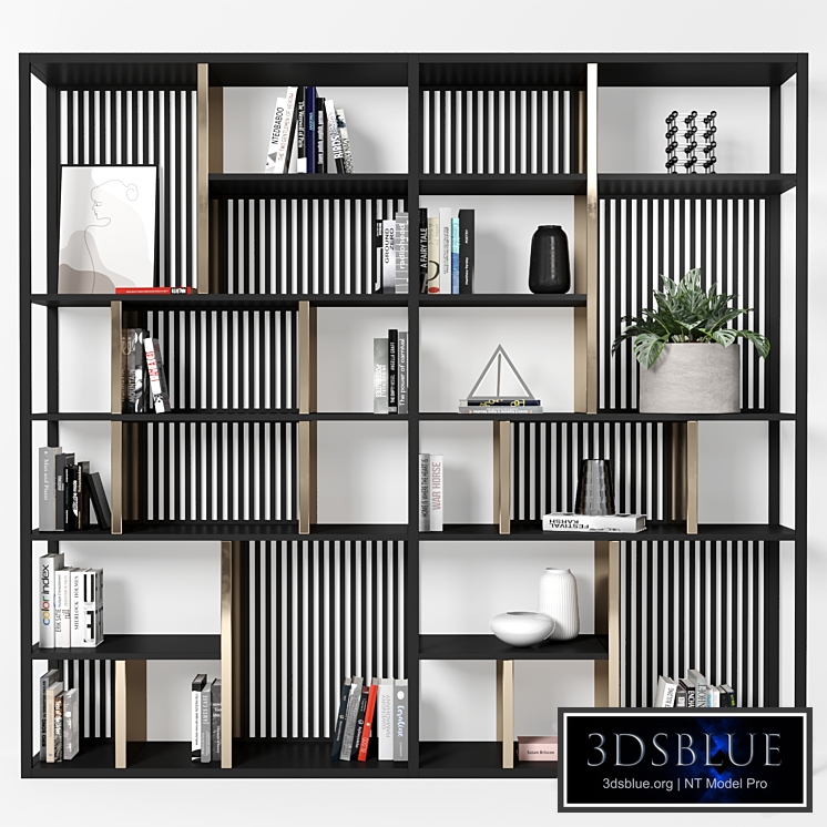 Rack and Bookcase 145