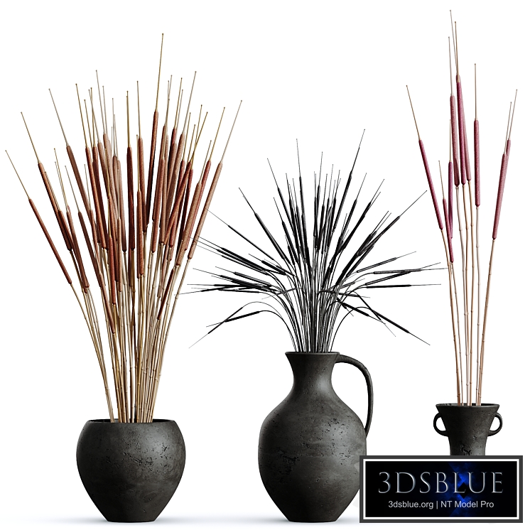 HQ HousePlants Decorative Stoilan Pampas Dried Branches Pampy