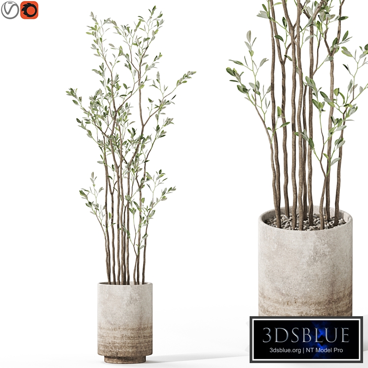 Plants collection 1124