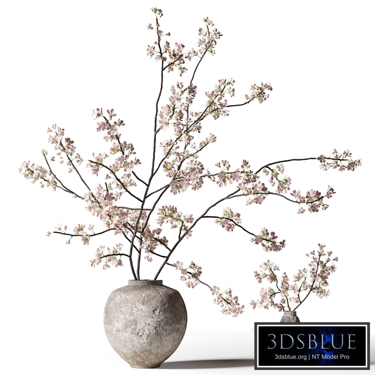 Branch with flowers in a clay vase