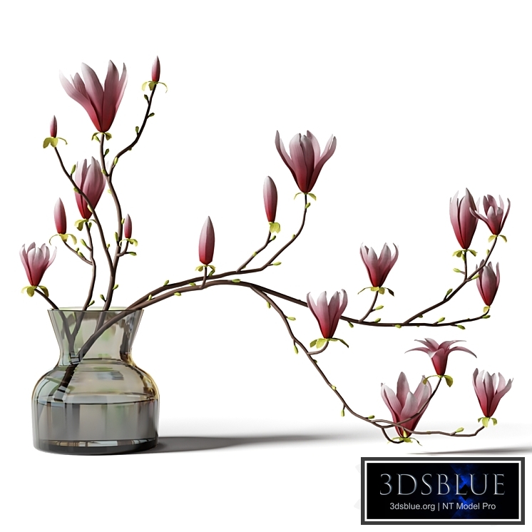 Magnolia branch in a glass vase