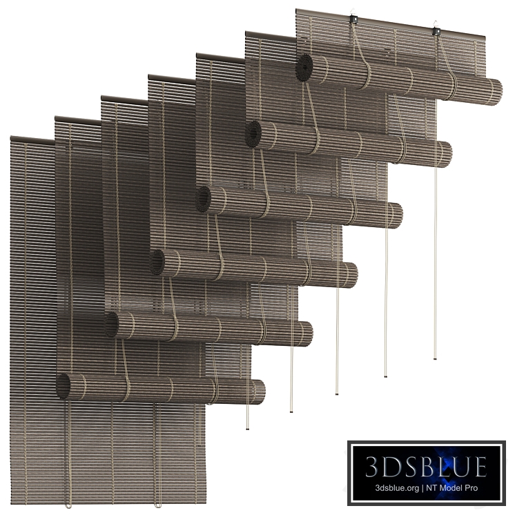 Bamboo Blinds (PVC) Vol 02