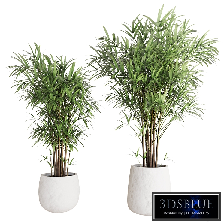 Indoor Plants Set 07