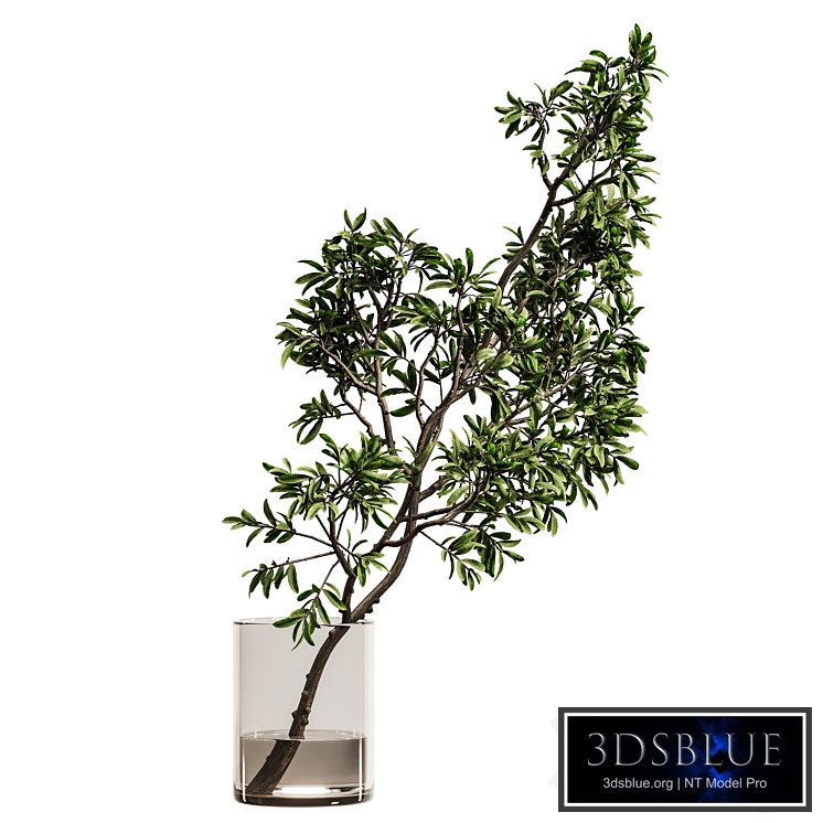 Plants Bouquet Vase 59