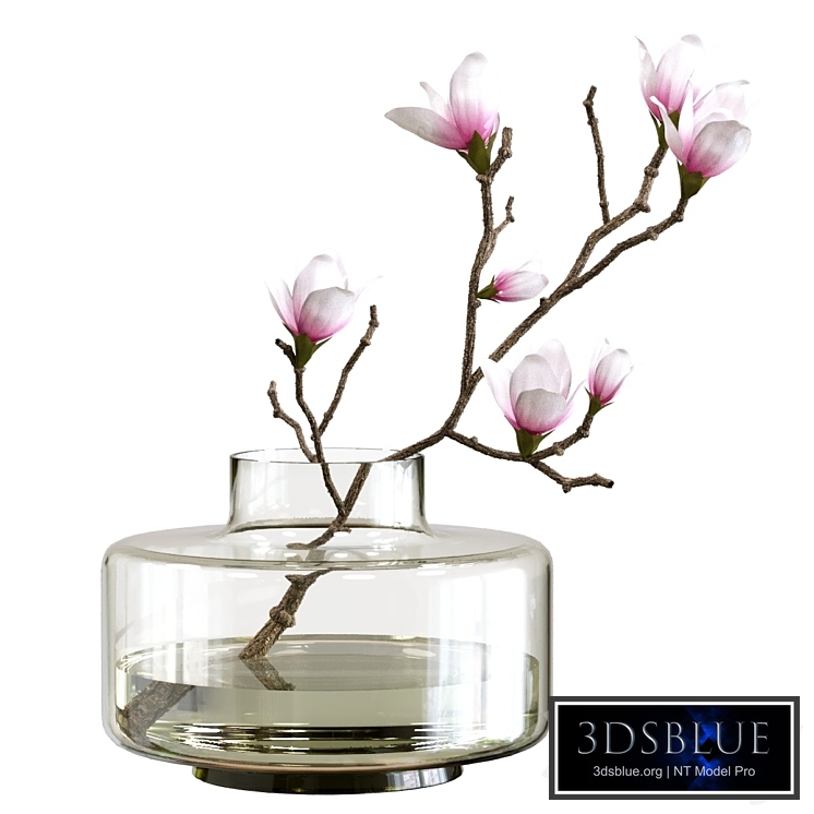 Bouquet of magnolia in a vase