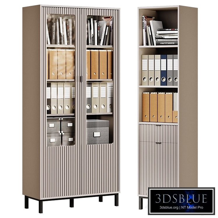 Showcase and rack Treyvis (Trejvis) Divan.ru (office filling)