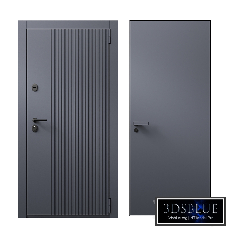 Entrance door and concealed door