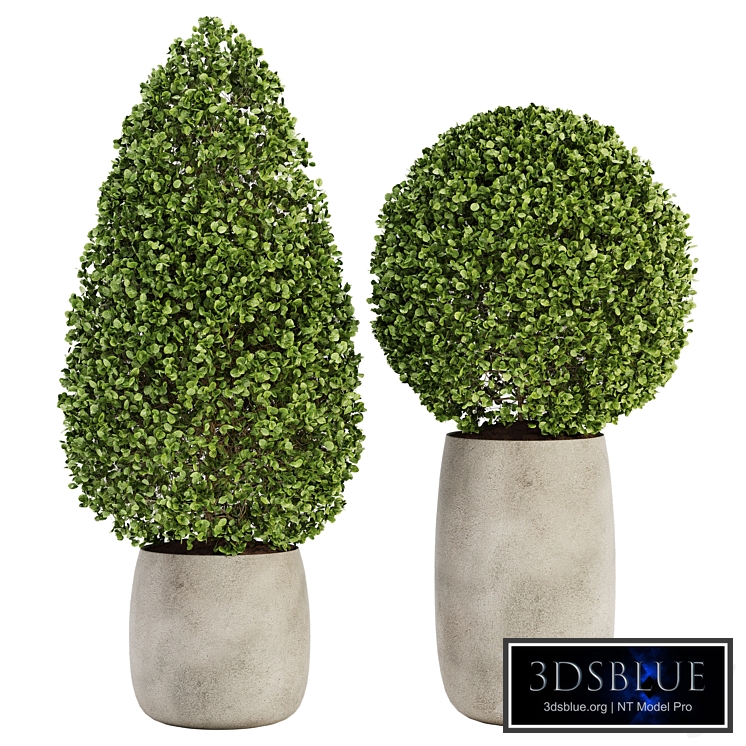 Outdoor Plant Set 01