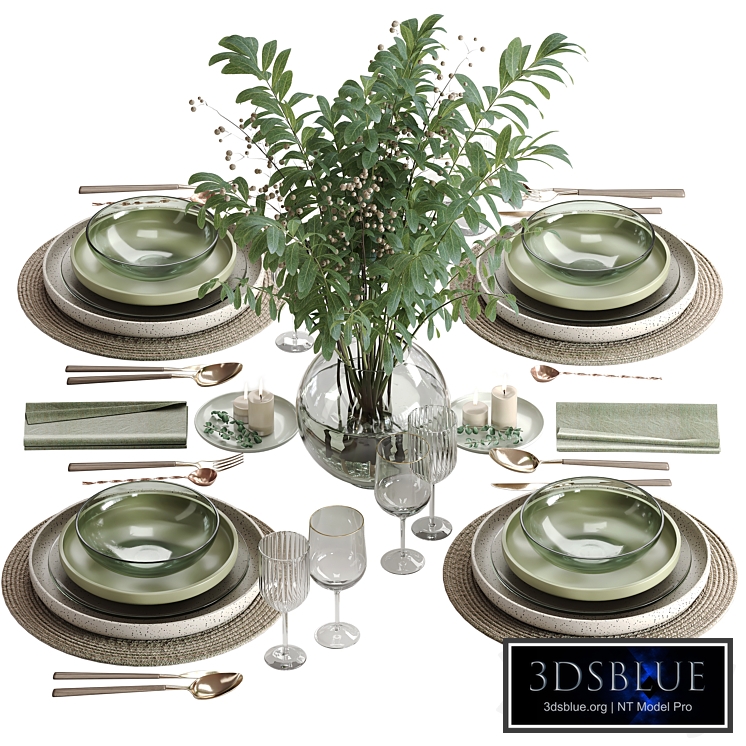 tableware setting N041