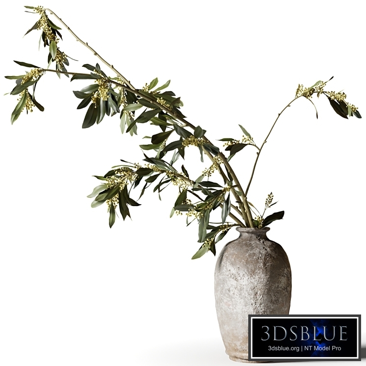 Eucalyptus in a clay vase