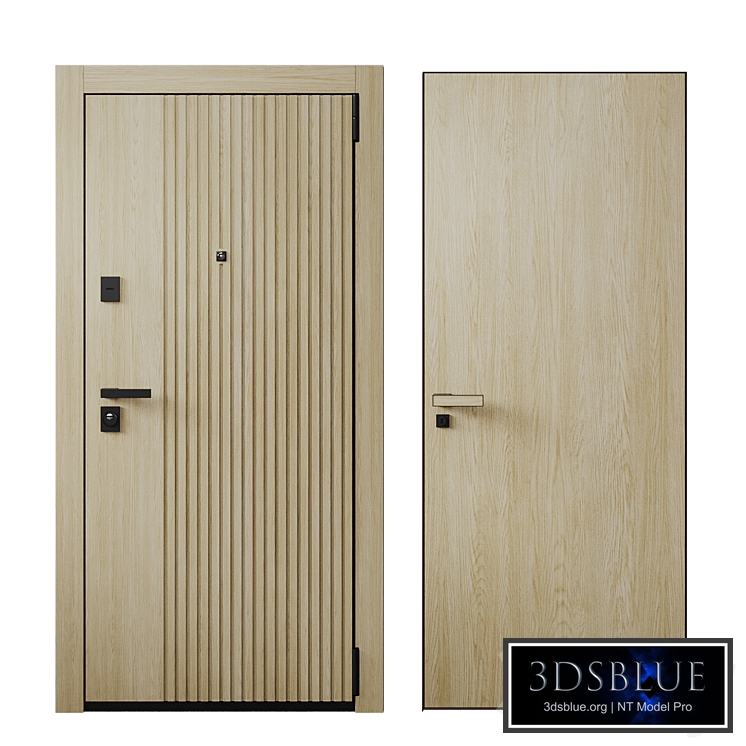 Entrance door and concealed door 03