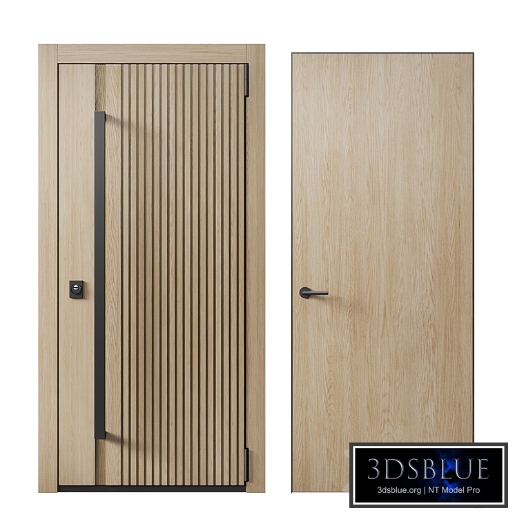 Entrance door and concealed door 08