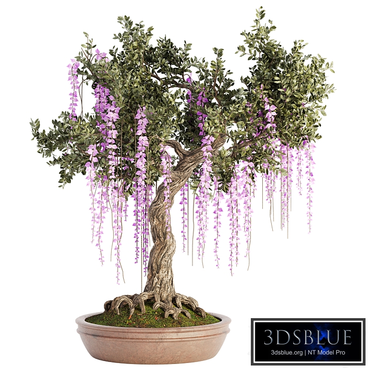 Indoor Plant Set 036