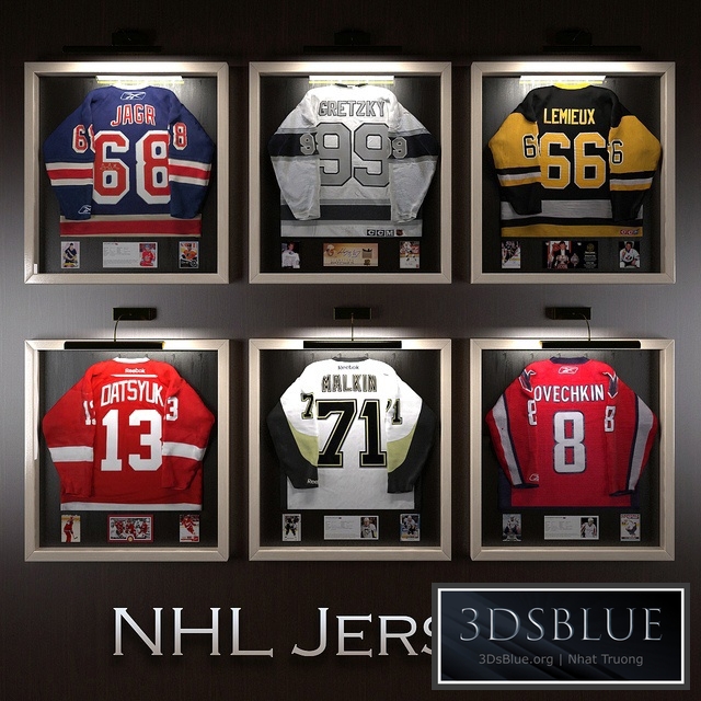 Hockey jerseys NHL stars
