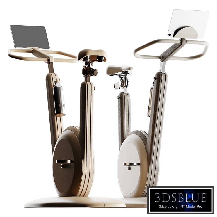 PENT.Hania Stationary Bicycle