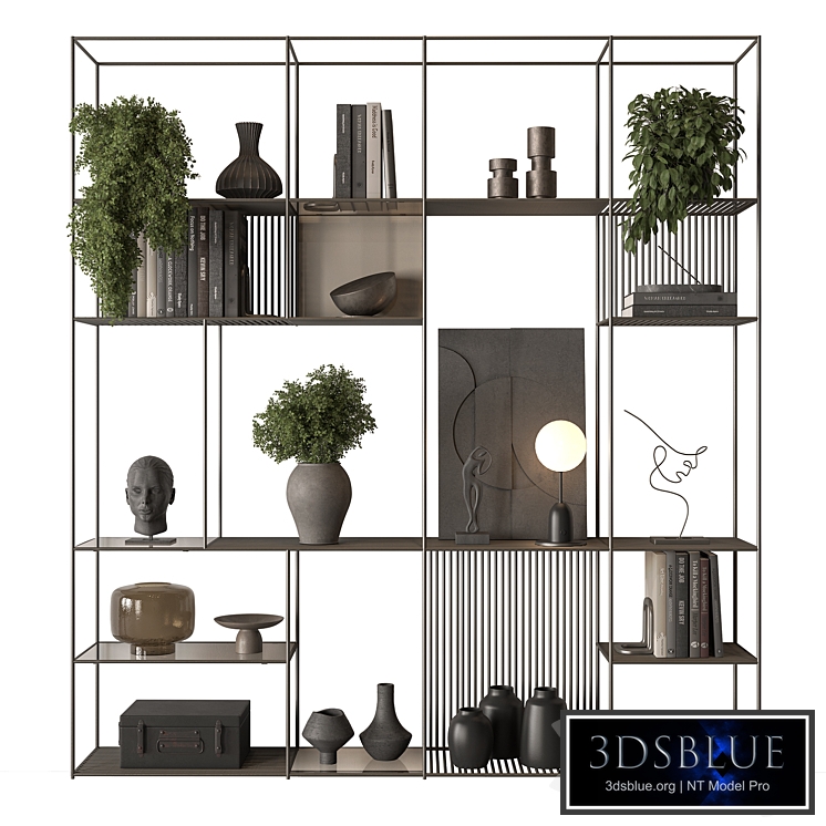 Shelves Decorative - Rack Set 25