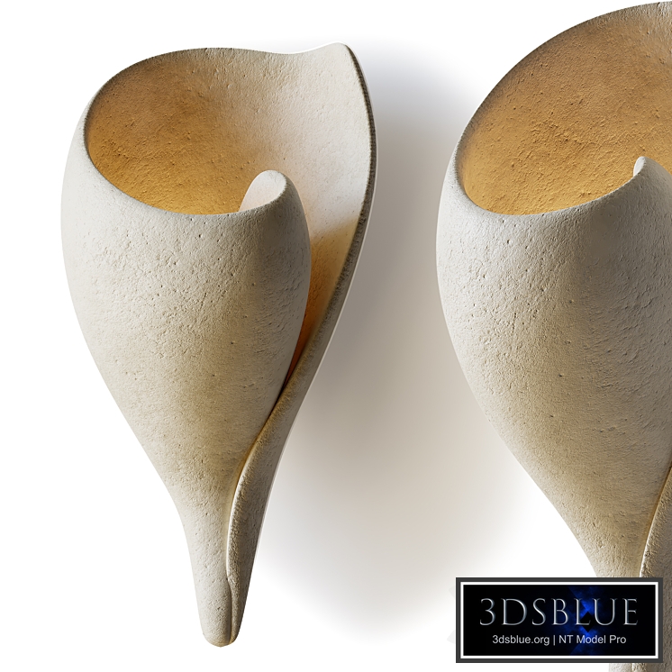 Handmade Monumental Shell Wall Light