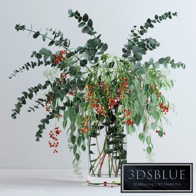 Pepperberries and Eucalyptuses