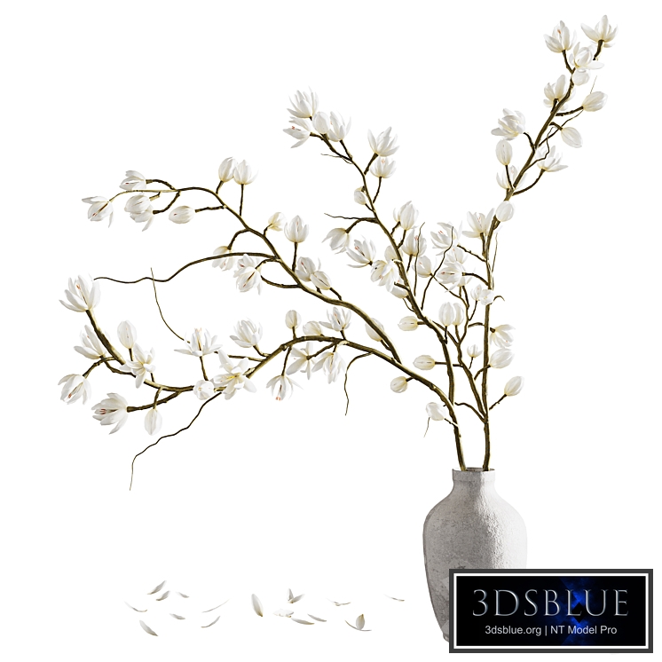 Plants collection set 9