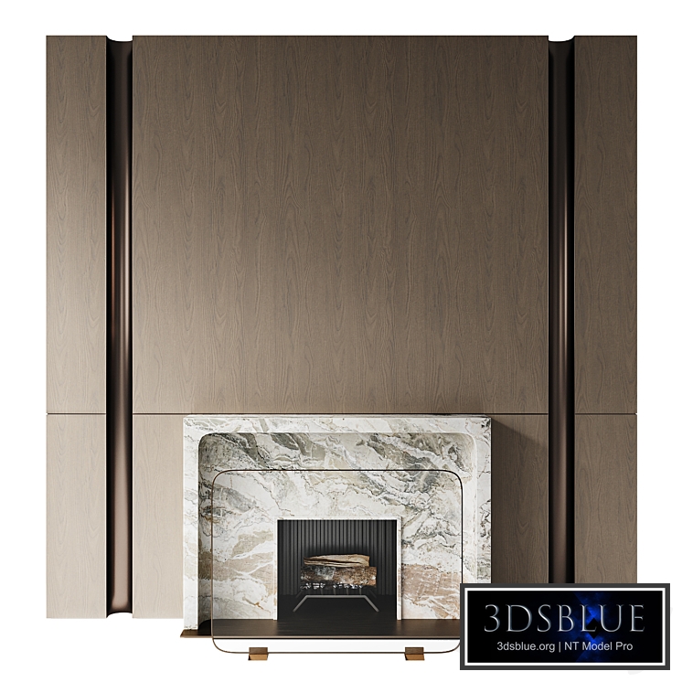Fireplace with marble portal SIII3