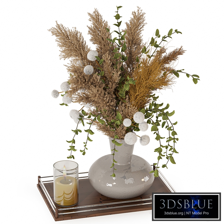 Plants Decorative Set Pampas And Taraxacum 85