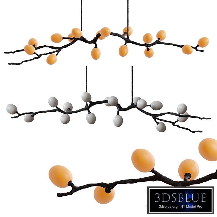 Georgina Egg Jabuticaba