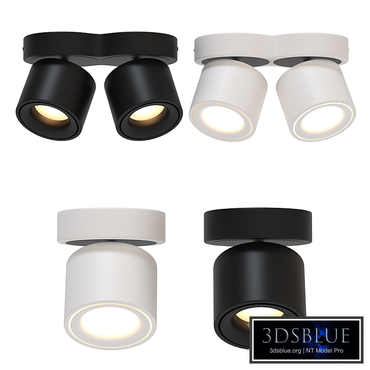 Ceiling lights with heads