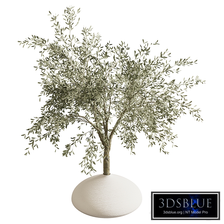 indoor plant stand 81