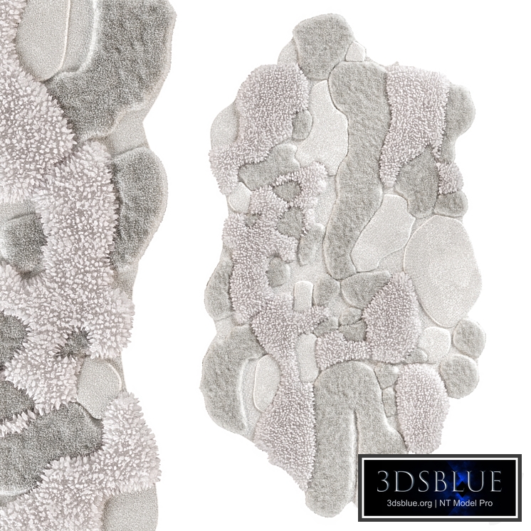 First snow carpet long