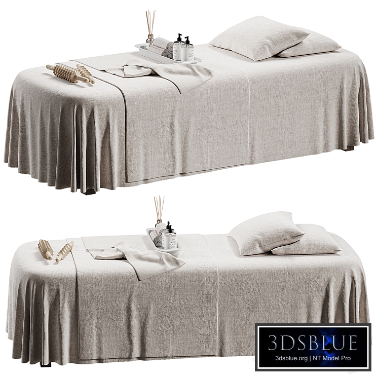 Spa Massage Table 03