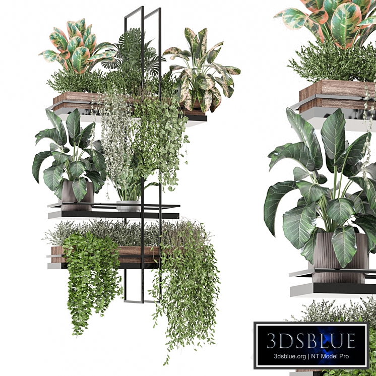 indoor plants in metal box 1580