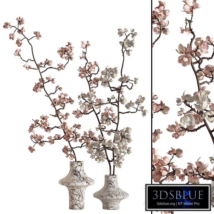 Flowering branches in a vase 02