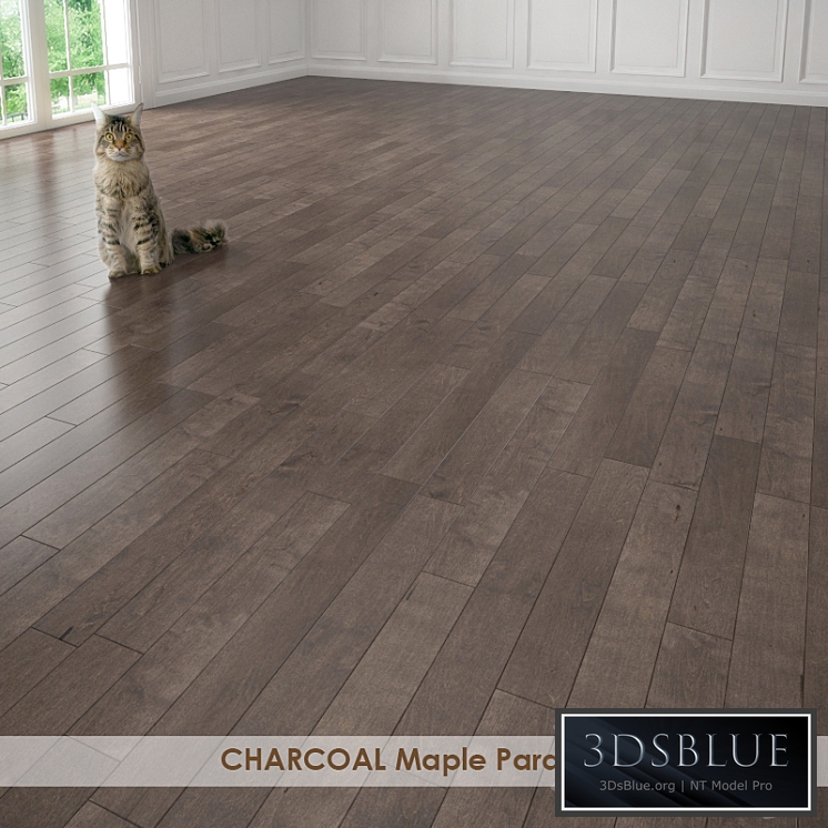 CHARCOAL Maple Parquet