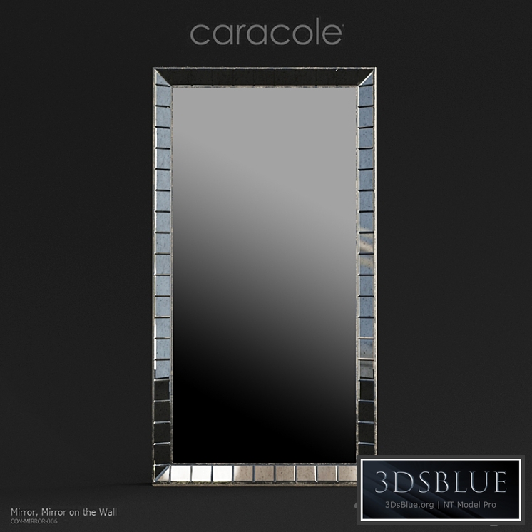 Caracole Classic Mirror on the Wall