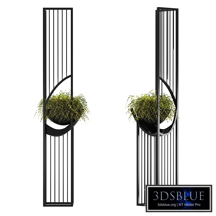 Indoor Plants Set 03