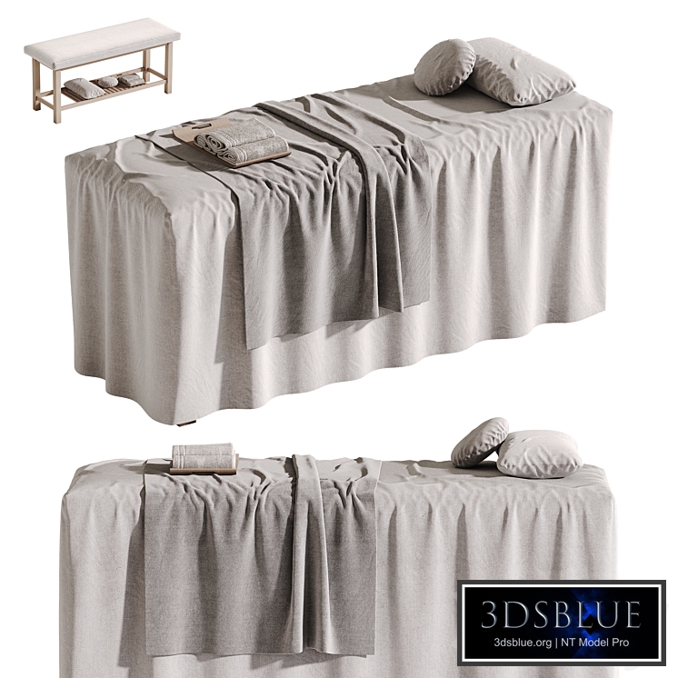 Spa Massage Table 04