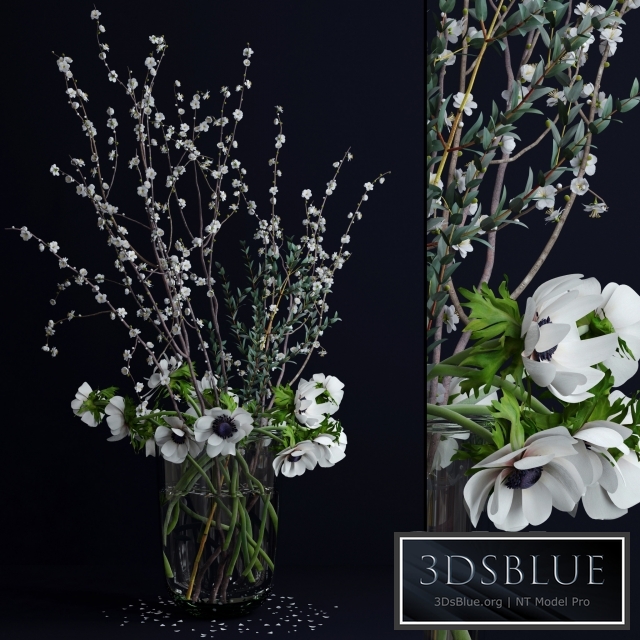 Anemones and branches