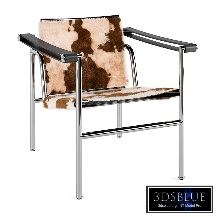 Le Corbusier LC1 Cassina Chair