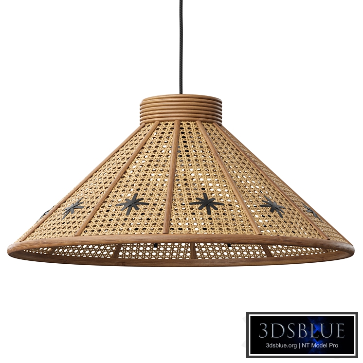 Rattan Ceiling Lamp Roseandgrey