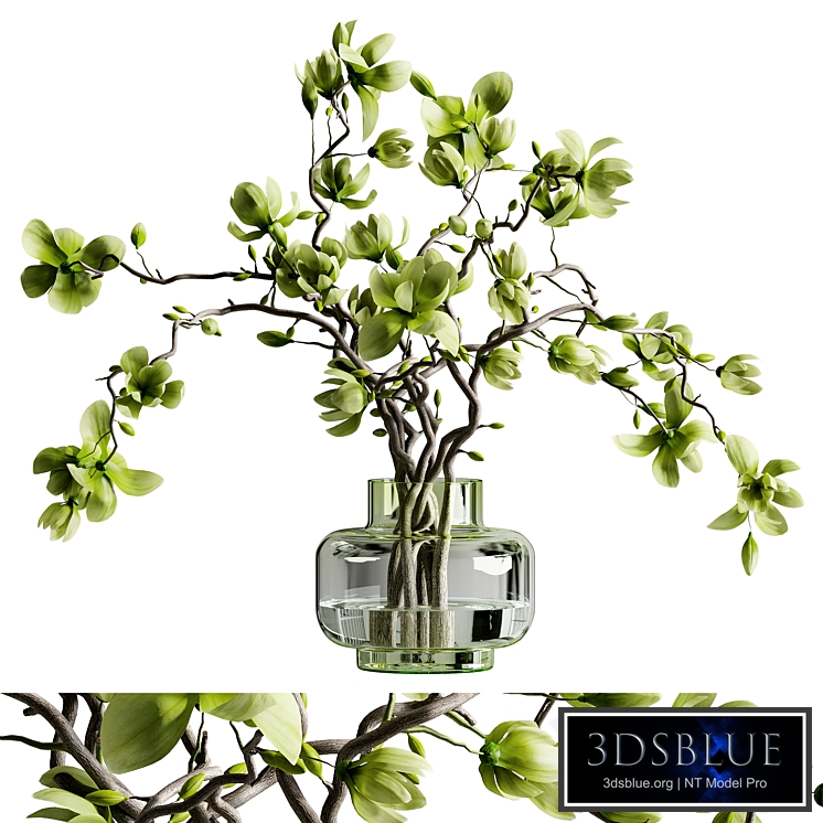 green magnolia bouquet in glass vase 03